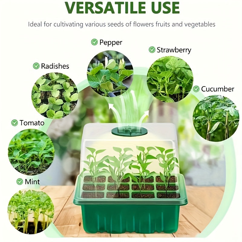 Seedling Box – 12 Holes