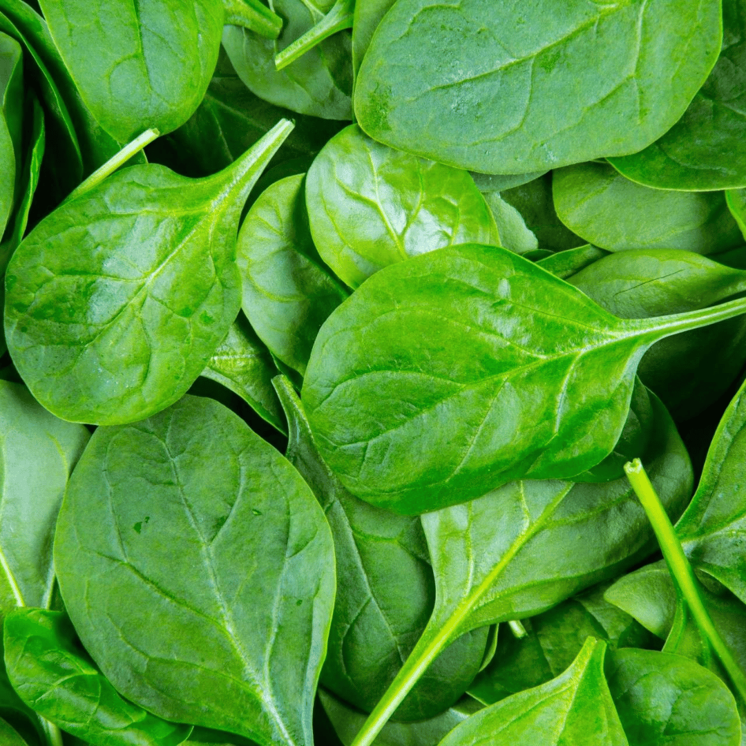 Spinach (دیسی پالک کے بیج) – 600+ Seeds