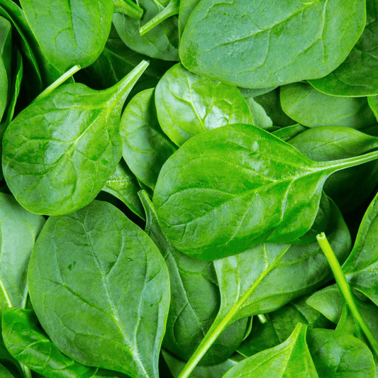 Spinach (دیسی پالک کے بیج) – 600+ Seeds