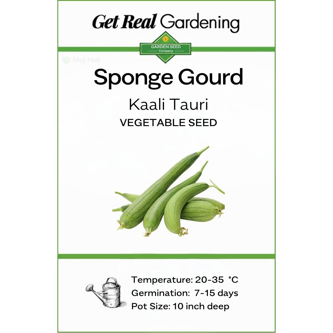 Sponge Gourd (دیسی توری کے بیج) – 25+ Seeds