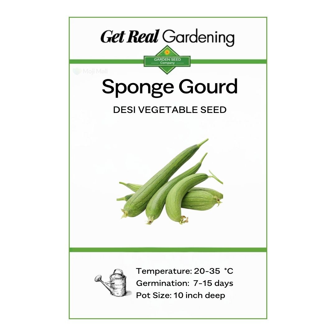 Sponge Gourd seed packet with green gourds and branding on a white background