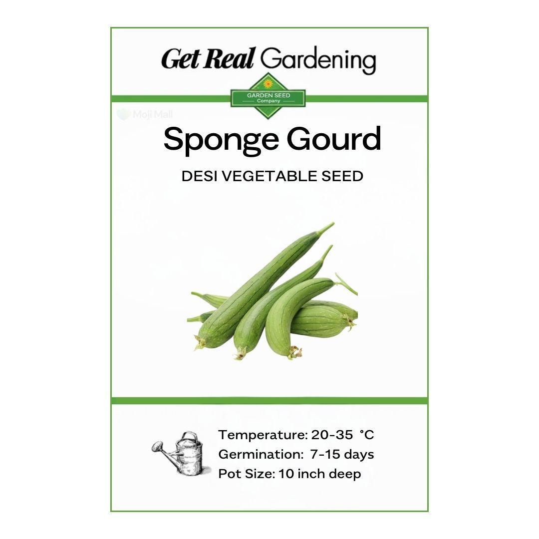 Sponge Gourd seed packet with green gourds and branding on a white background
