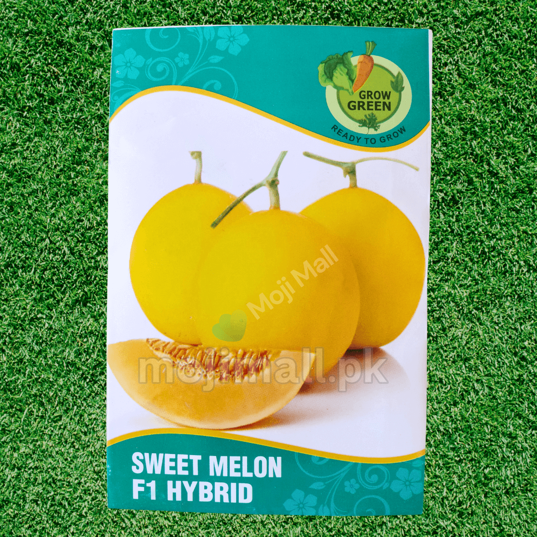 Sweet Melon (خربوزہ) - F1 Hybrid Seeds-Moji Mall