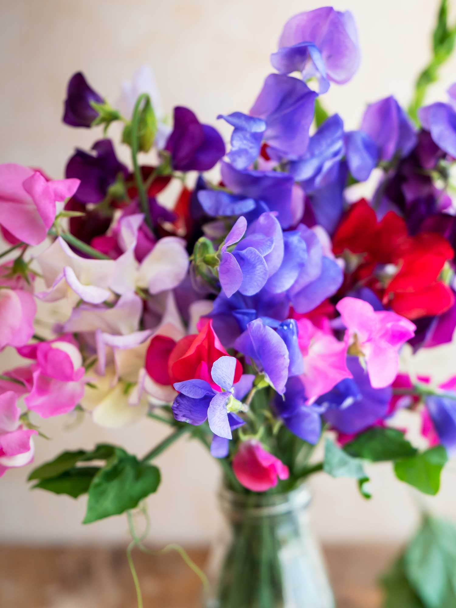 Bouquet of colorful flowers in a glass vase on a blurred background