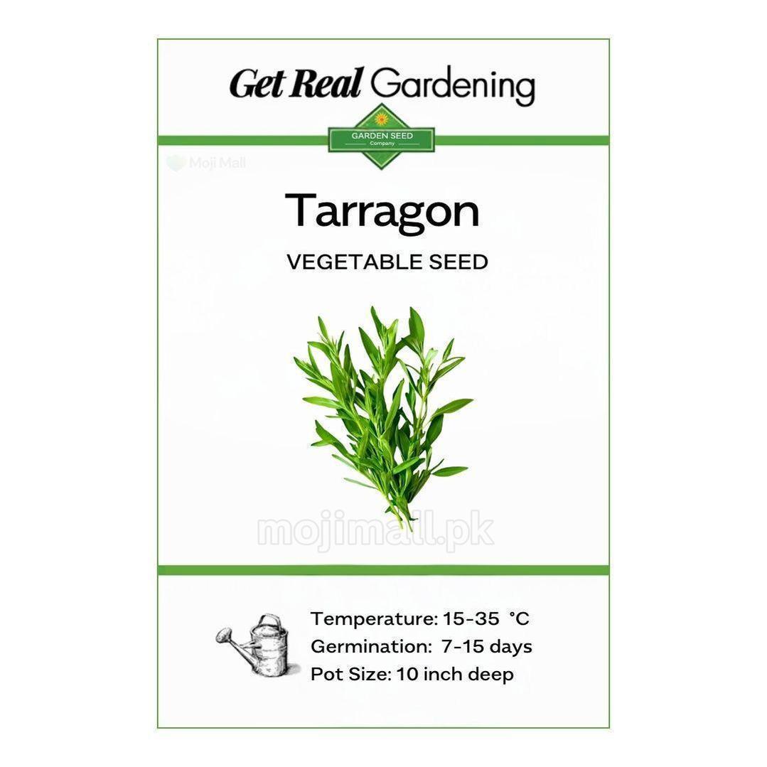 Tarragon – 50+ Seeds-Moji Mall