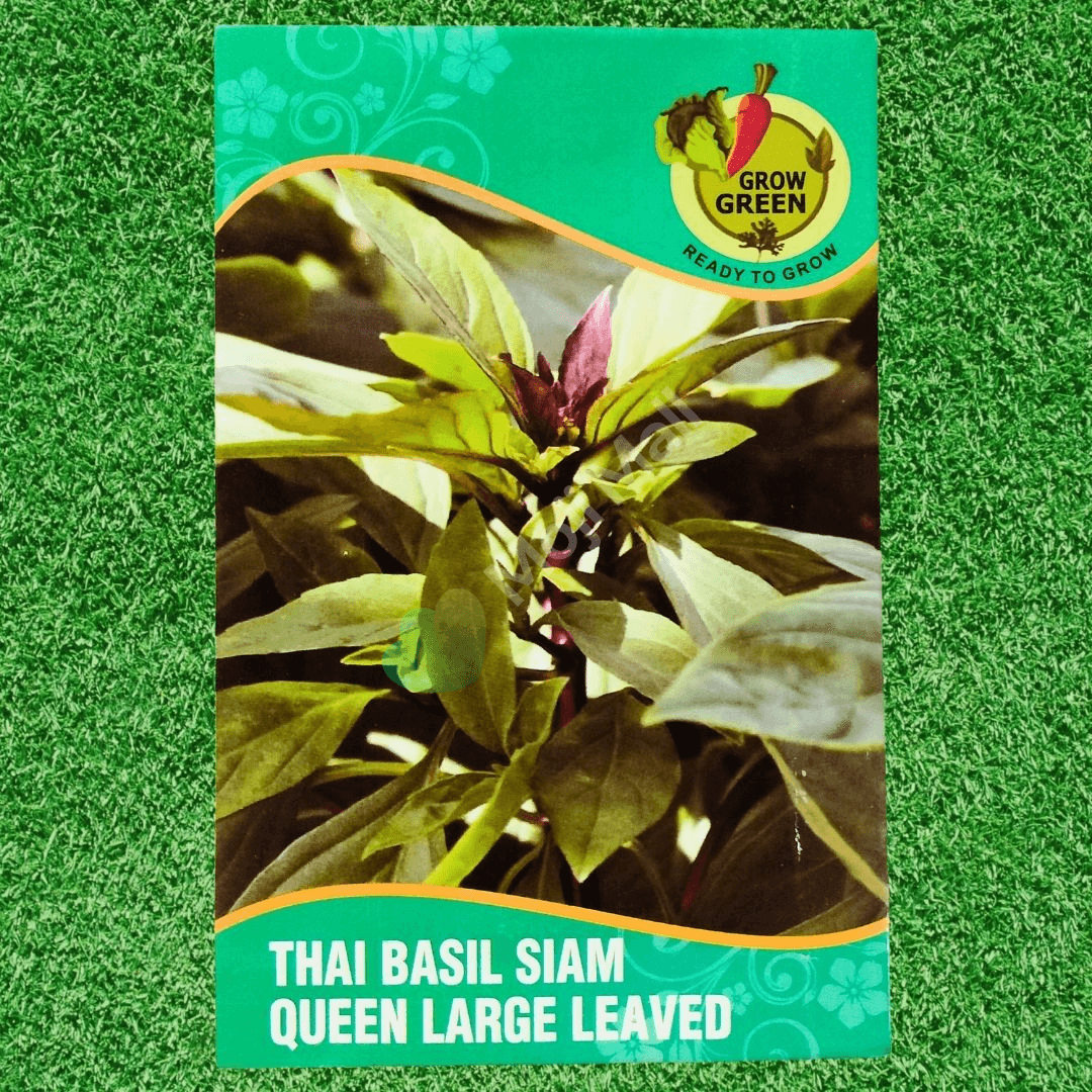 Thai Basil – 150+ Seeds