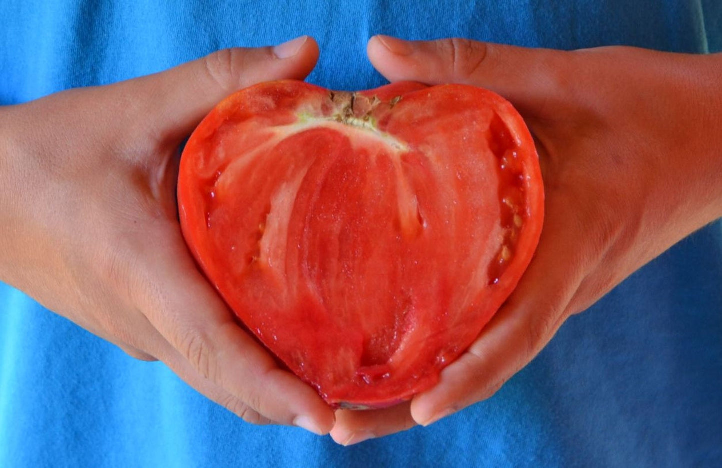 Tomato Ox Heart (20+ Seeds)