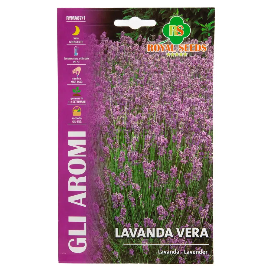 True Lavender - Royal Seeds