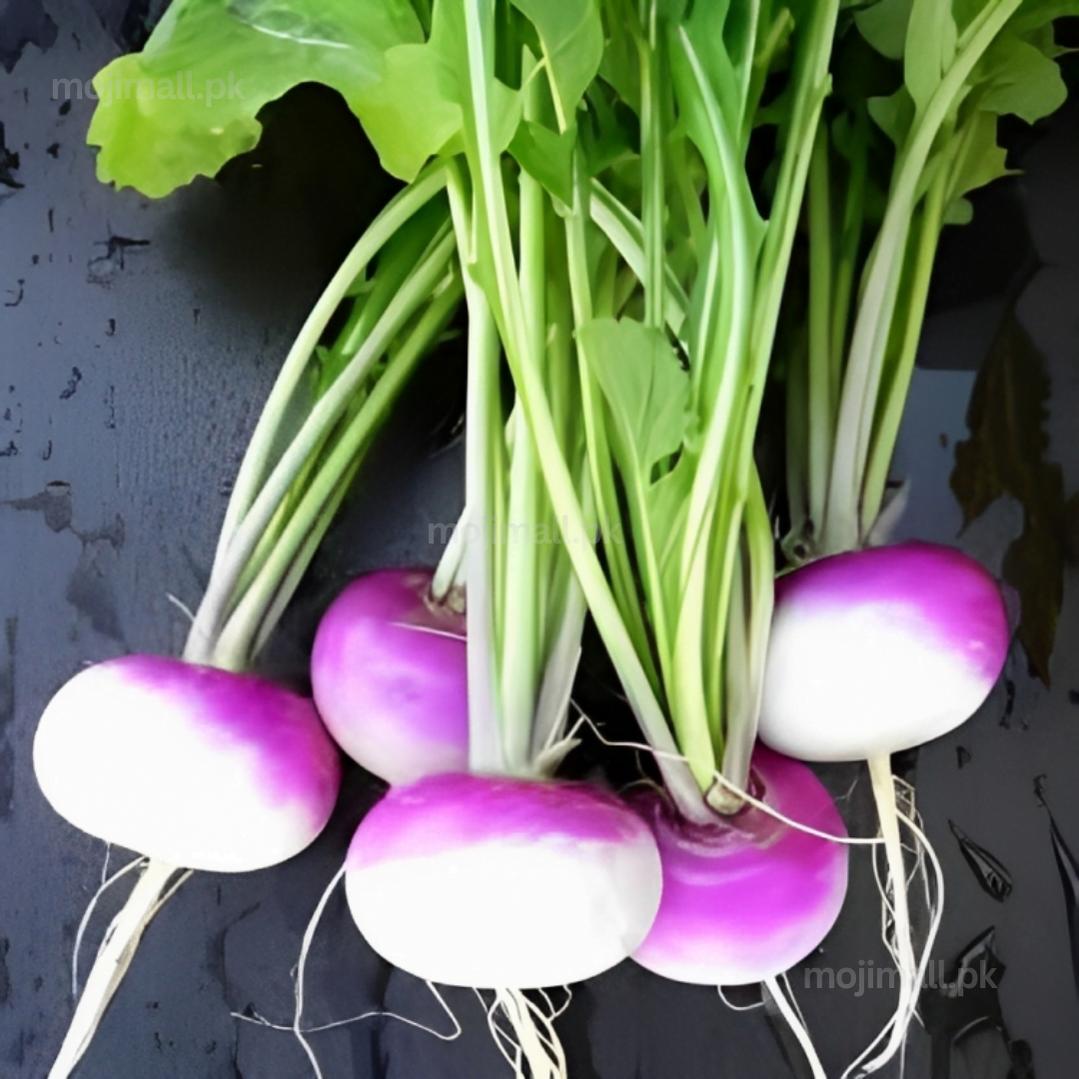 Turnip (دیسی شلجم کے بیج) – 250+ Seeds-Moji Mall