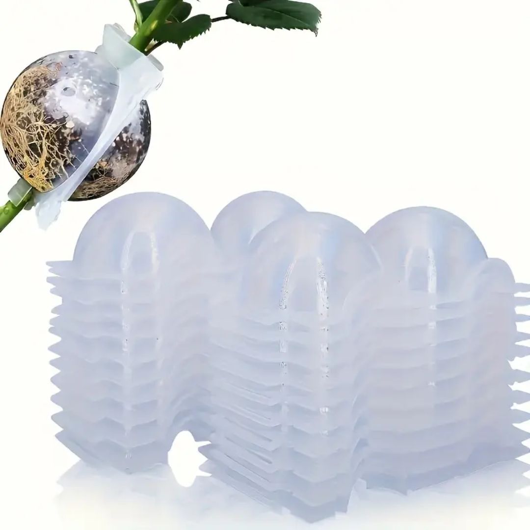 Air Layering Cups (Transparent)