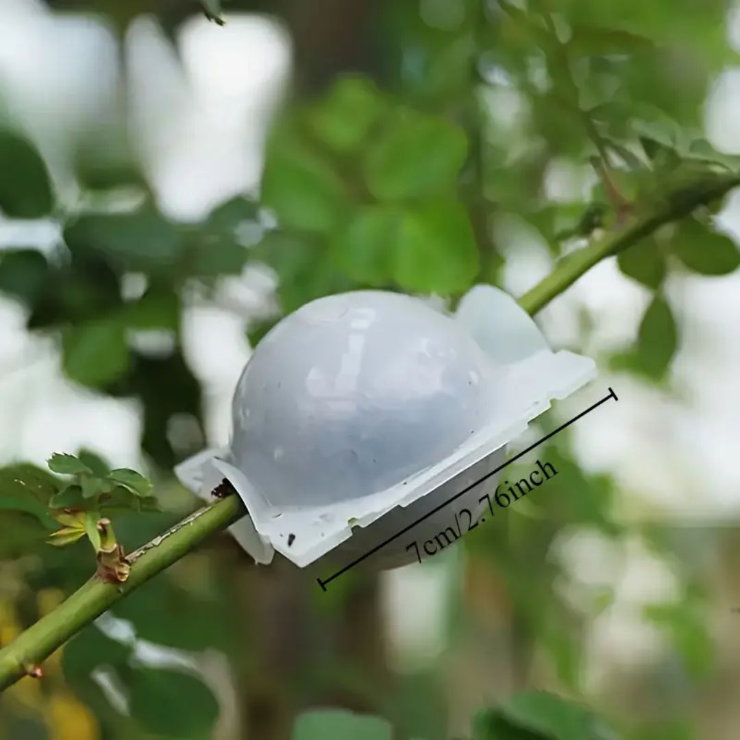 Air Layering Cups (8cm)
