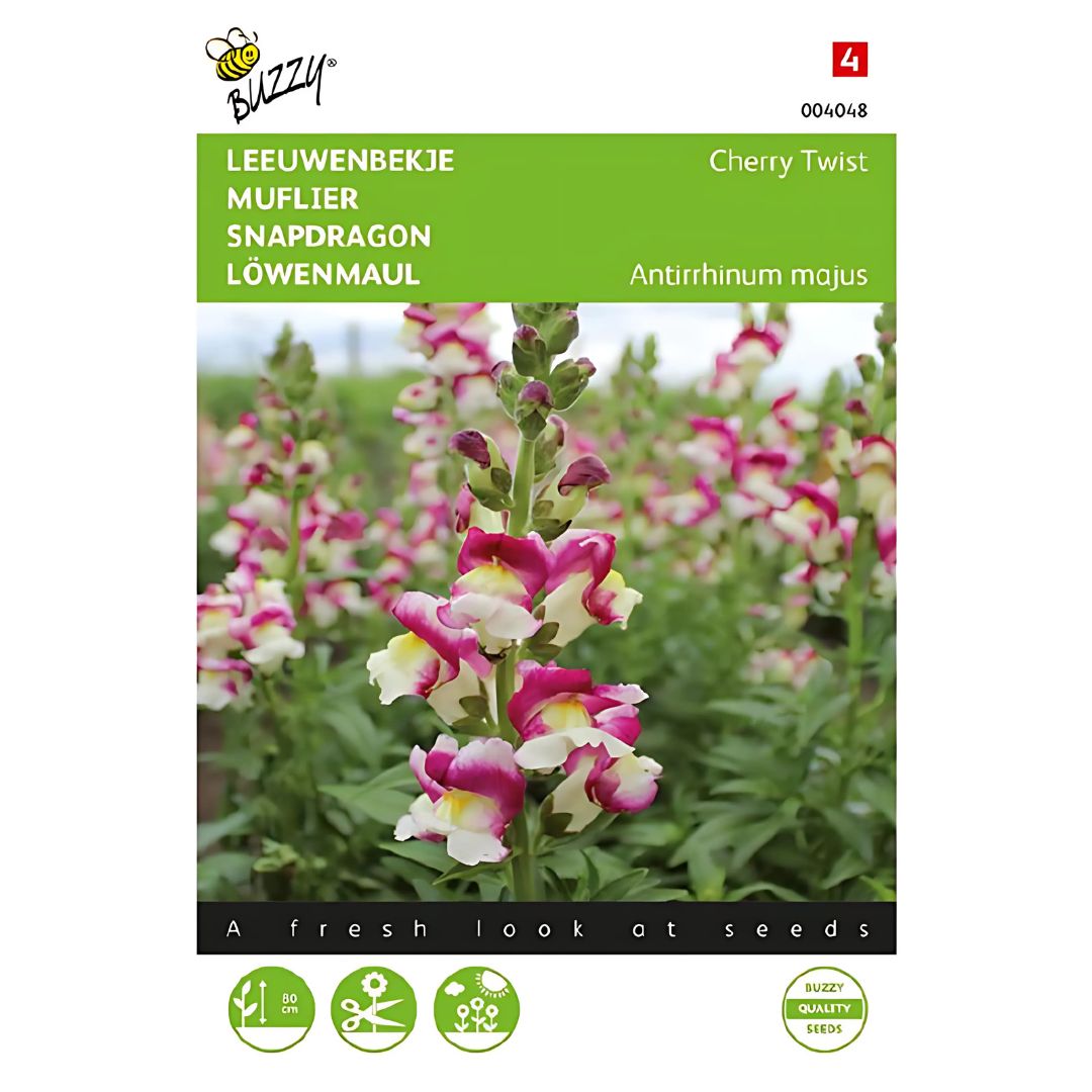 Buzzy brand seed packet for Antirrhinum majus with colorful snapdragon flowers on a white background.
