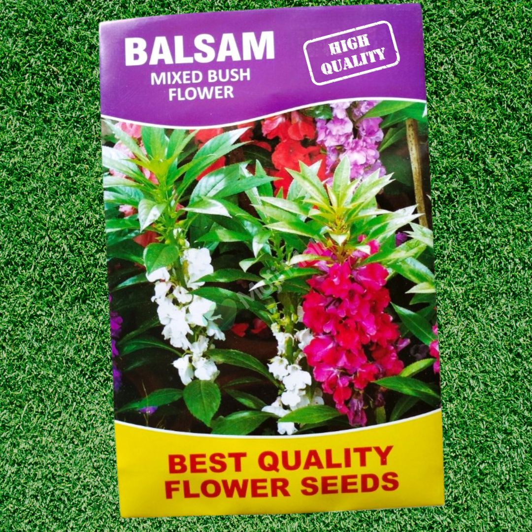 Balsam (Bush Mixed) 35+ Seeds