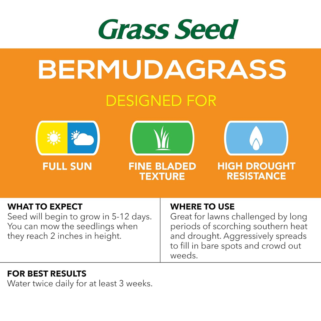 Bermuda Grass - Hybrid Seeds