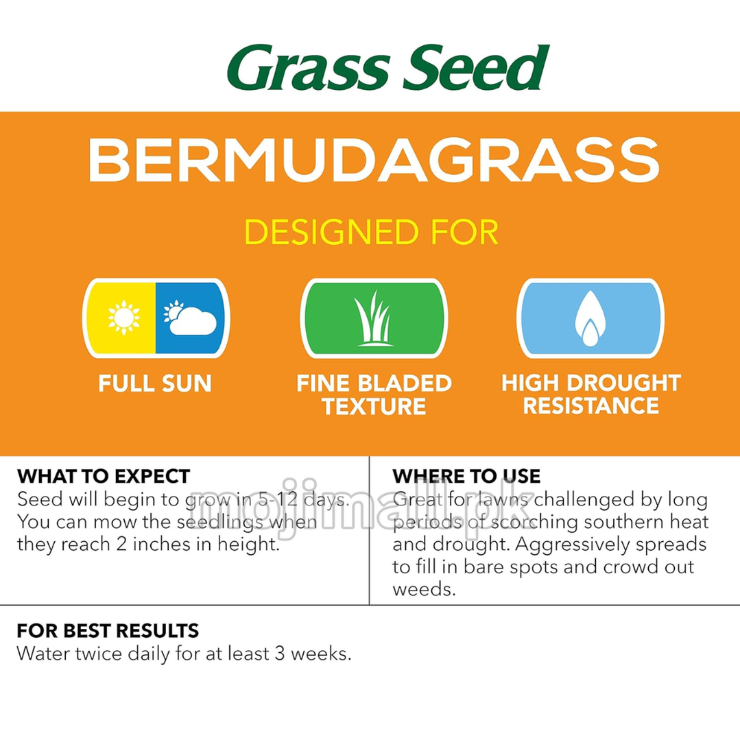 Bermuda Grass - Hybrid Seeds-Moji Mall