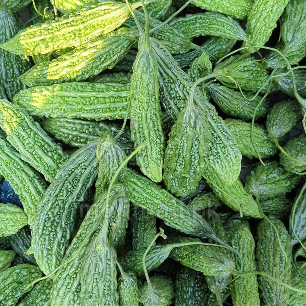 Bitter Gourd – F1 Hybrid Seeds-Moji Mall