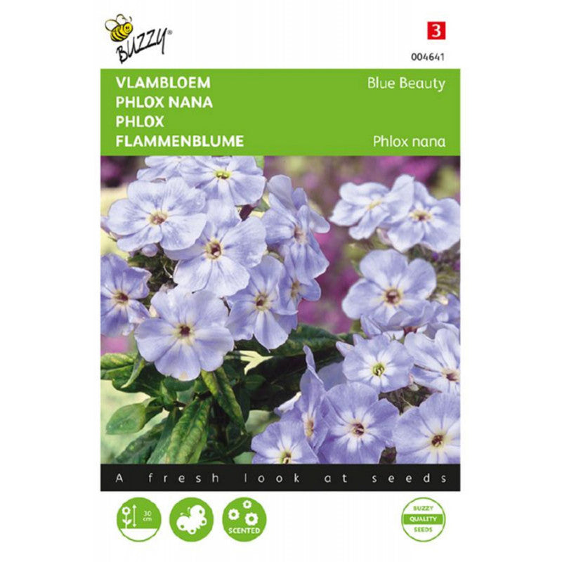 Phlox Blue Beauty – Buzzy Seeds (Imported - Limited Stock)