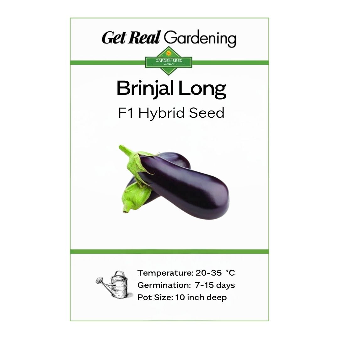 Brinjal Long – F1 Hybrid 100+ Seeds