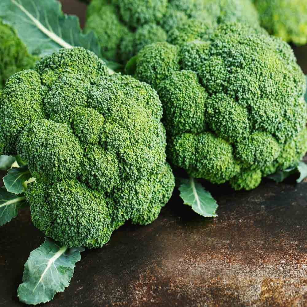 Broccoli (بروکلی) - F1 Hybrid 25+ Seeds