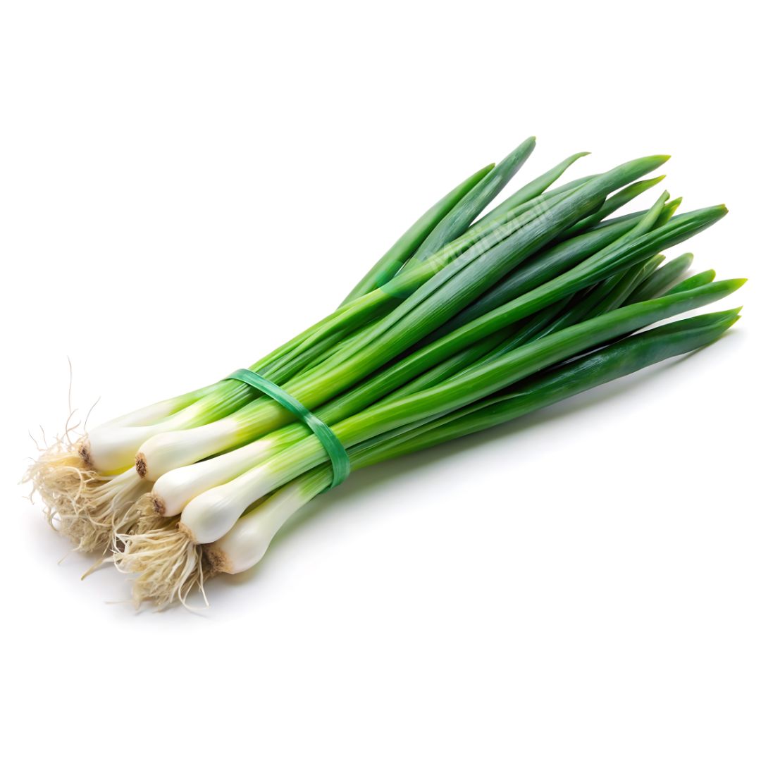 Bunch of green onions tied with a rubber band on a white background