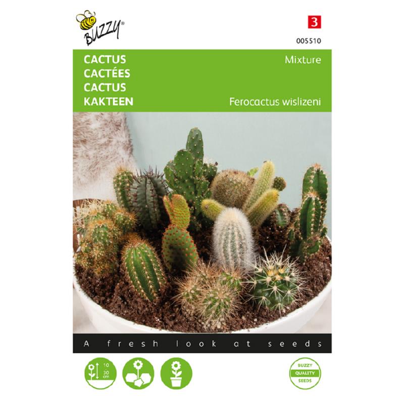 Cactus Mix – Hortus Seeds (Imported - Limited Stock)