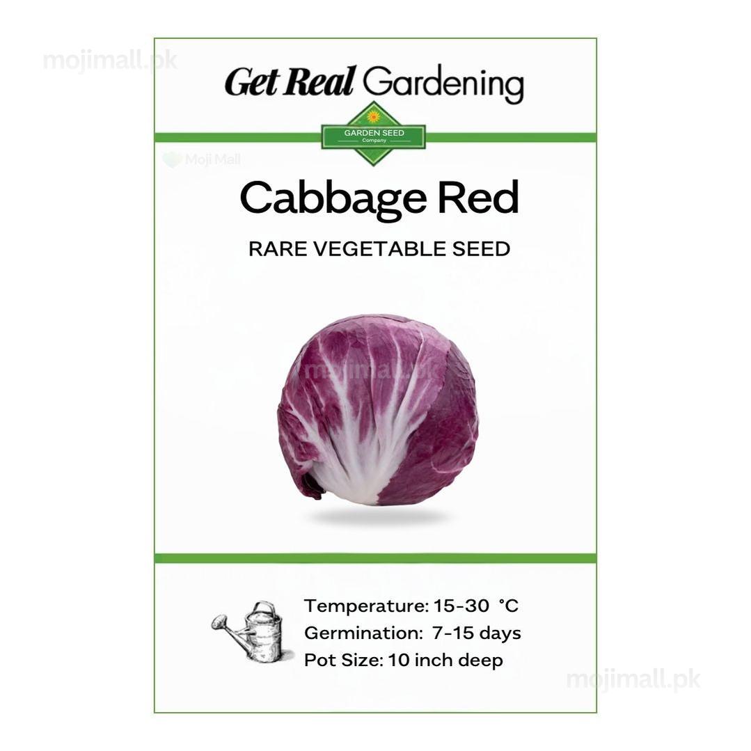 Cabbage Red – 30+ Seeds-Moji Mall