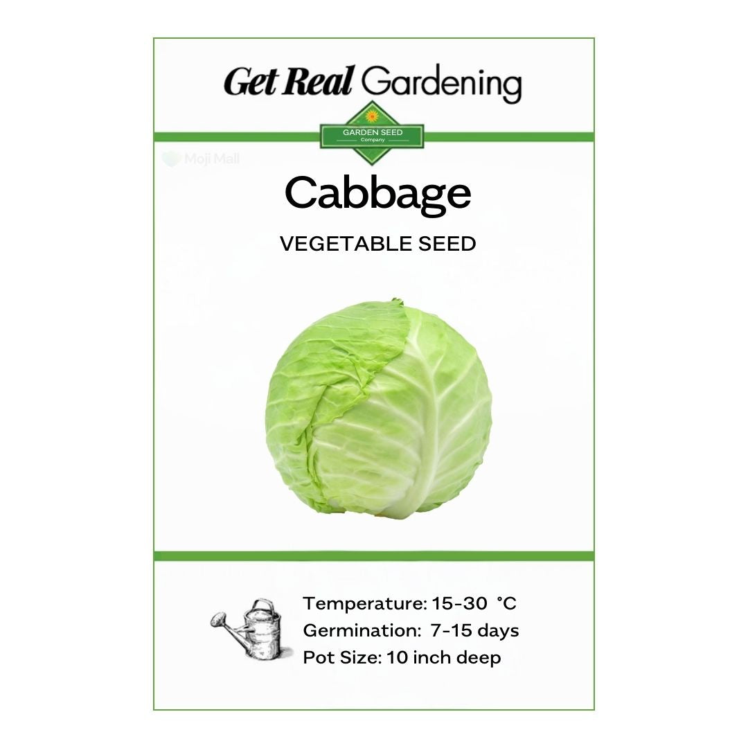 Cabbage (دیسی بند گوبھی کے بیج) – 70+ Seeds