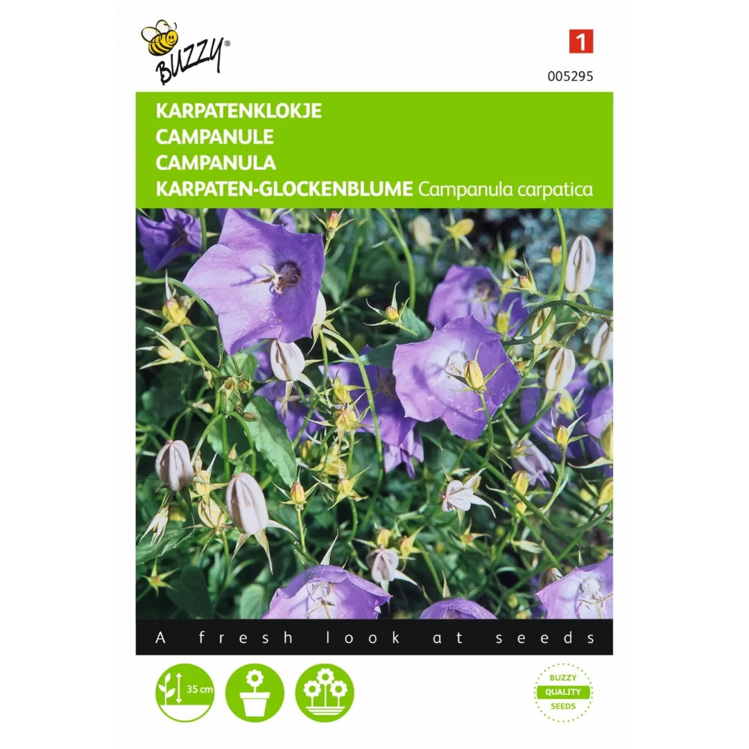 Campanula – Buzzy Seeds (Imported - Limited Stock)