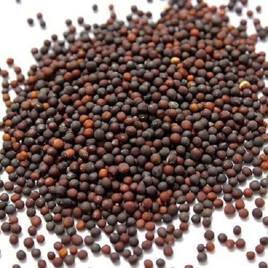 Cauliflower – Microgreens Seeds-Moji Mall