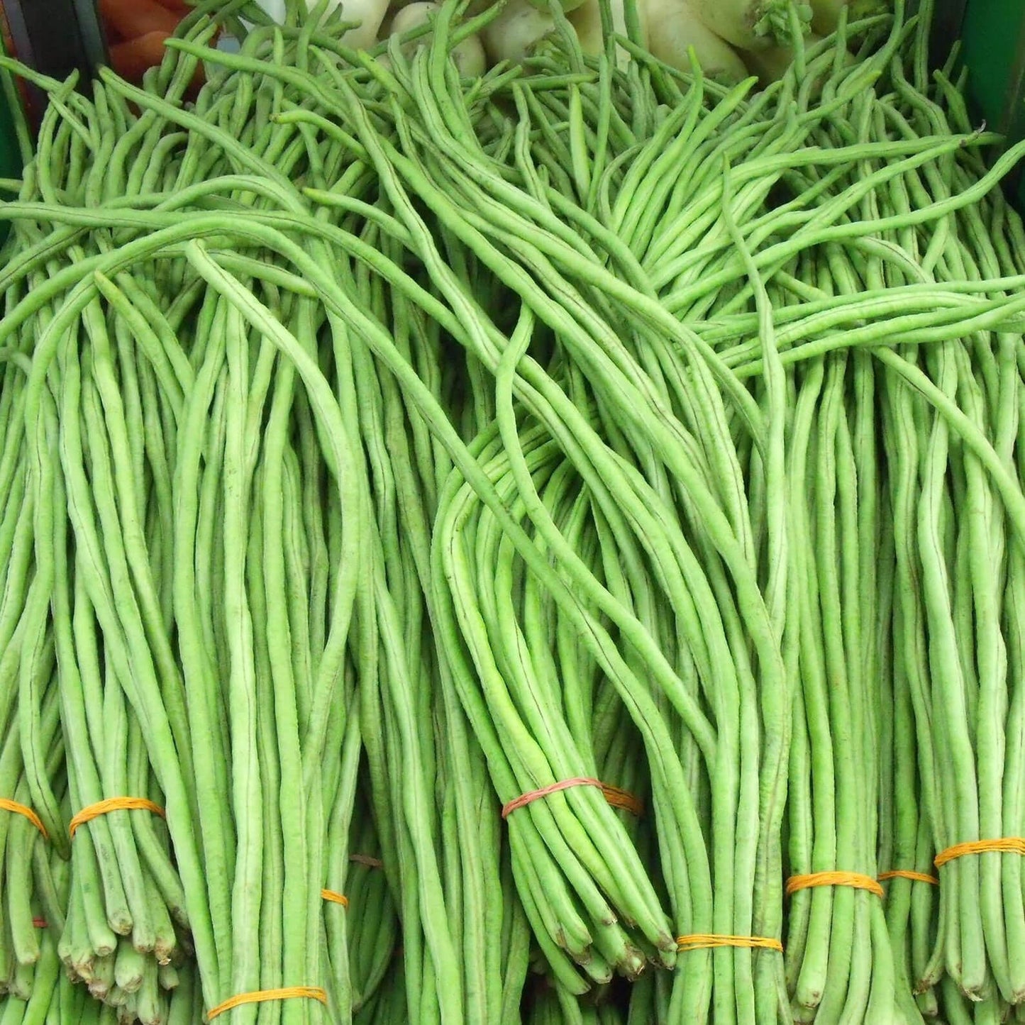 Chinese Noodle (Long Beans) – F1 Hybrid 20+ Seeds