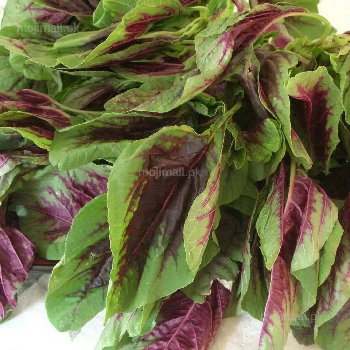 Chinese Spinach (Red) – 150+ Seeds-Moji Mall