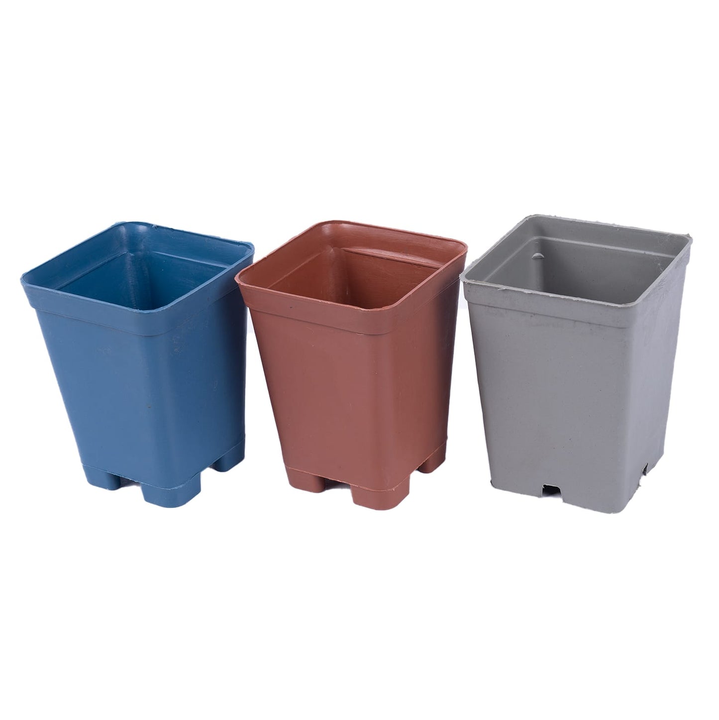 Cactus & Succulent – Square Pots (3x4 inch)