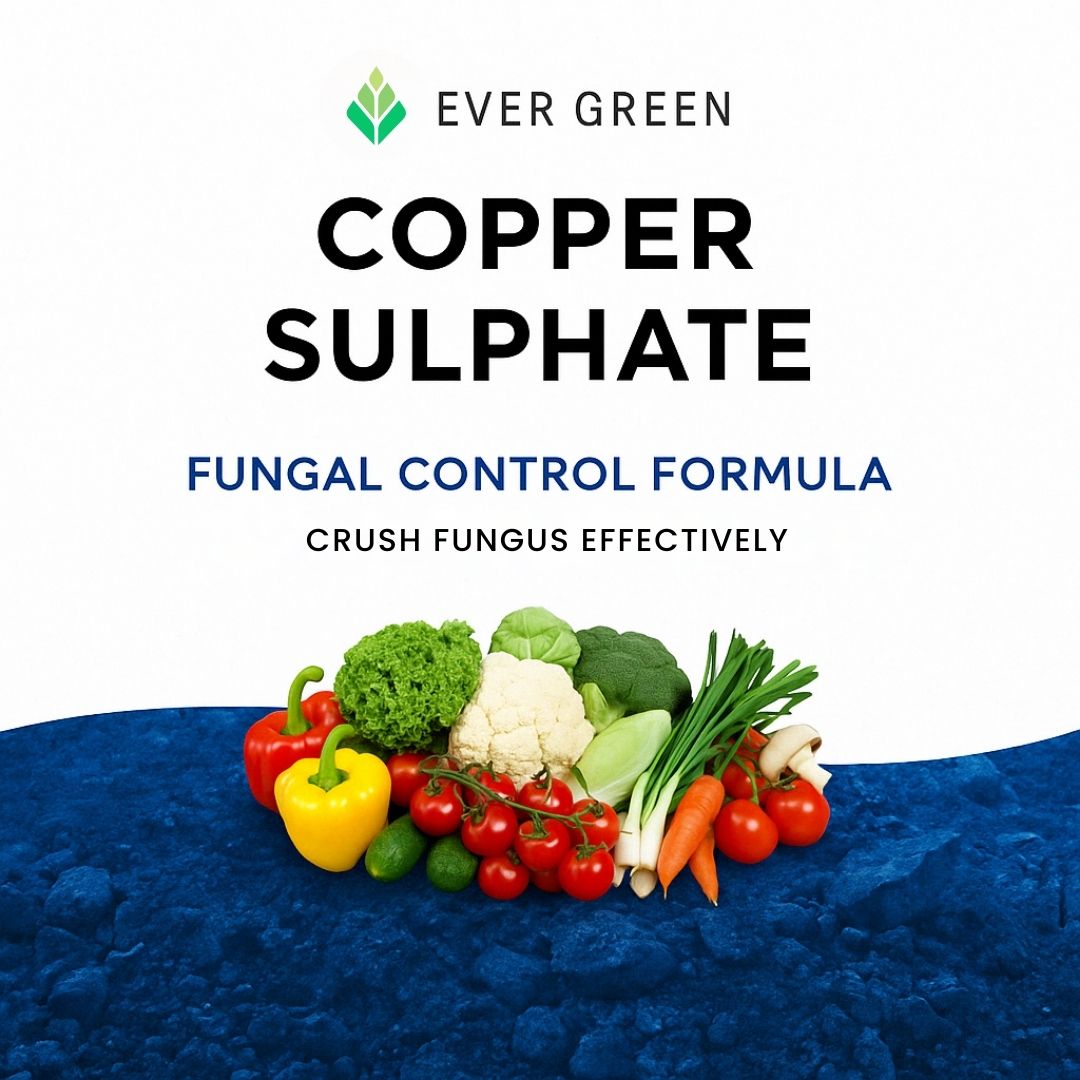 Copper Sulphate (Fungicide)