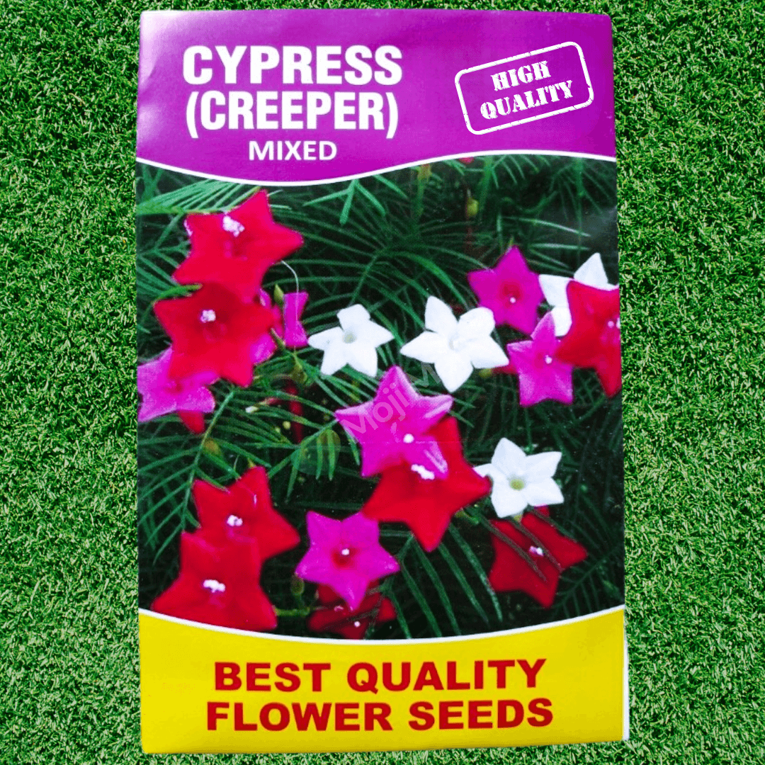 Cypress Vine Mix – 20+ Seeds