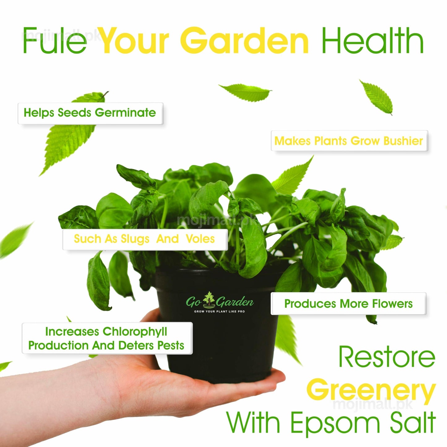 Epsom Salt (imported)-Moji Mall