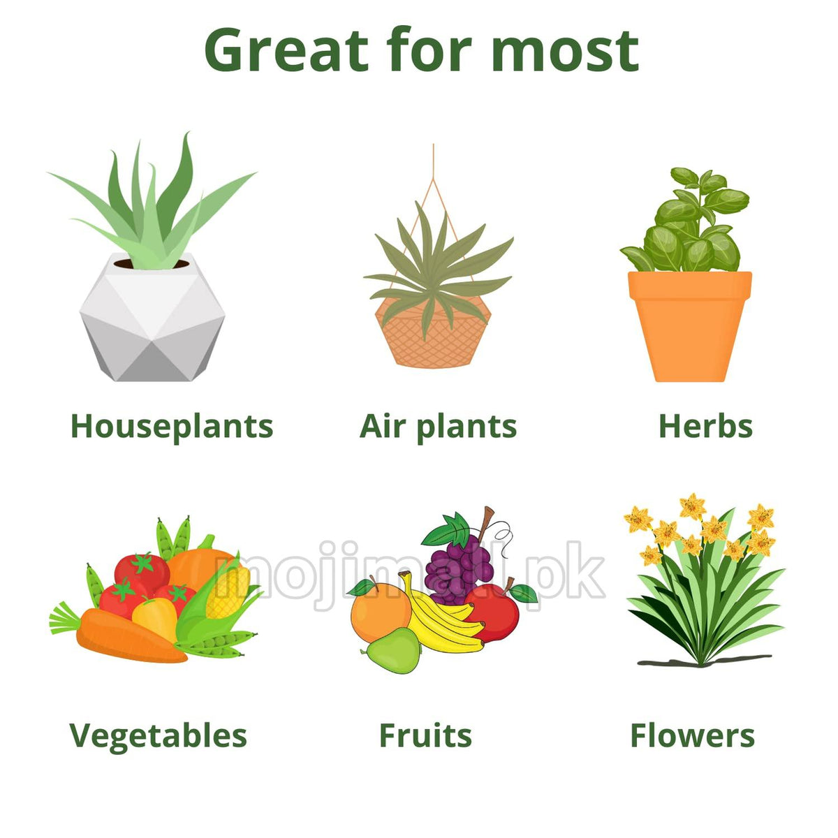 Calmag Granules Water Soluble (imported)-Moji Mall Pakistan