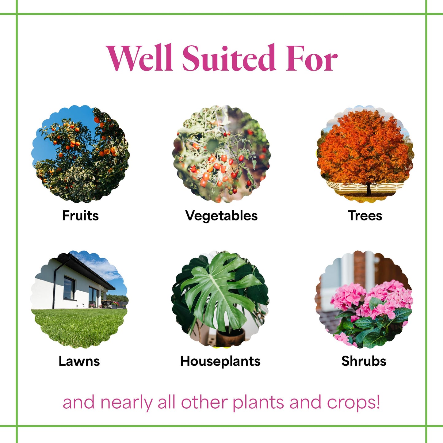 Fungicide Sistémico 100g - UK