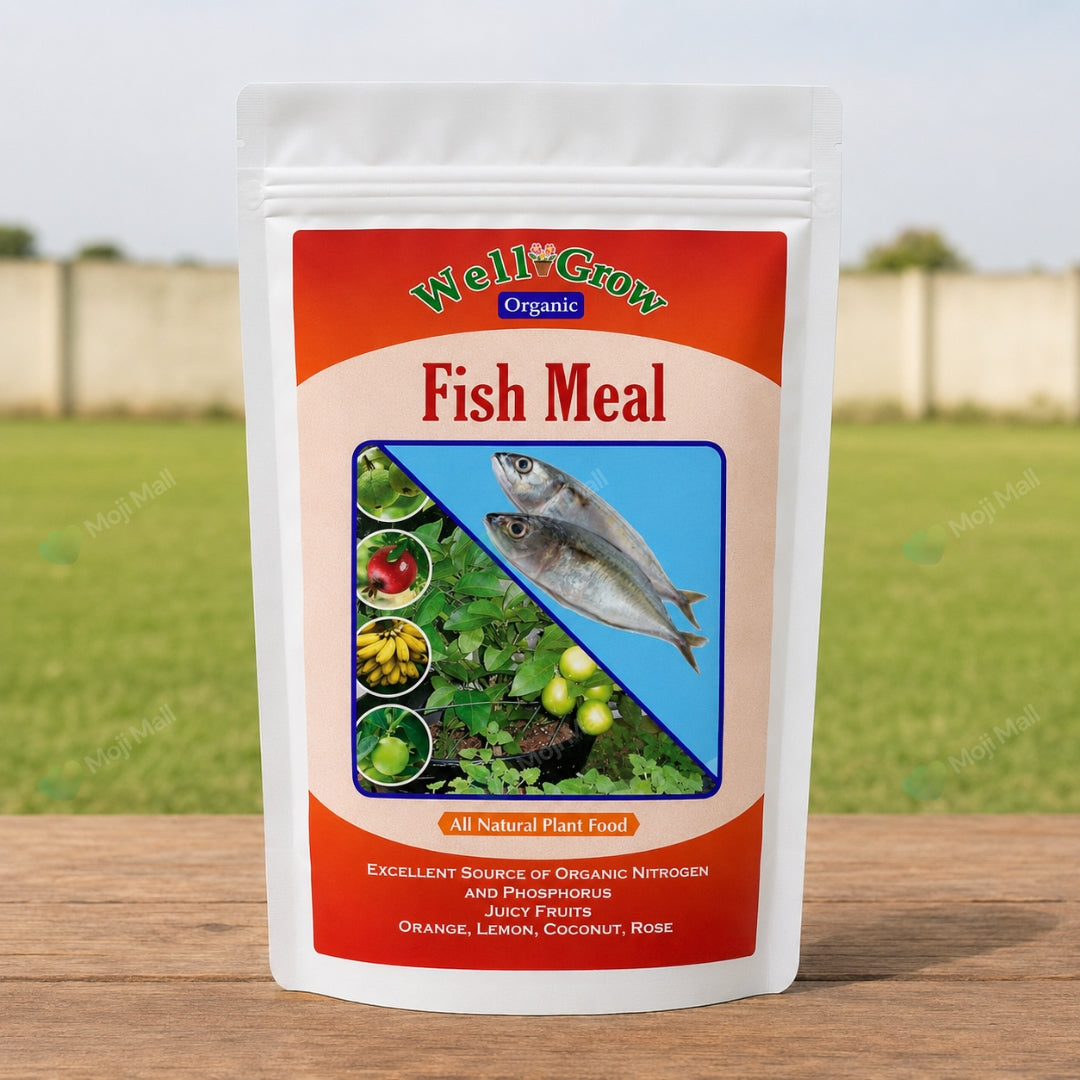 Fish meal – Organic Fertilizer