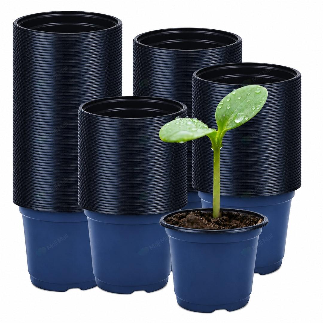 Set of black and blue plant pots with a small green plant