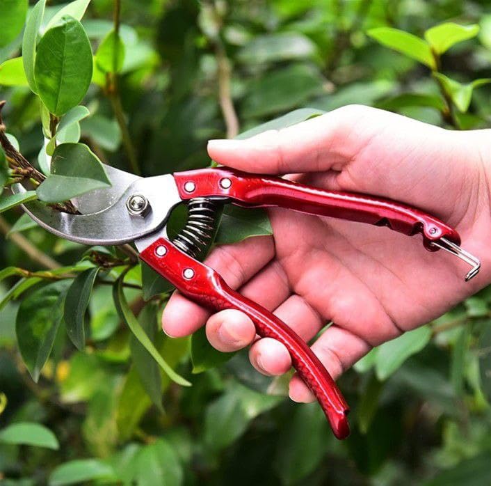 Flower Cutter