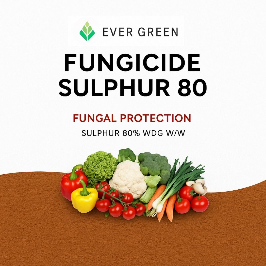 Fungicide - Sulphur 80