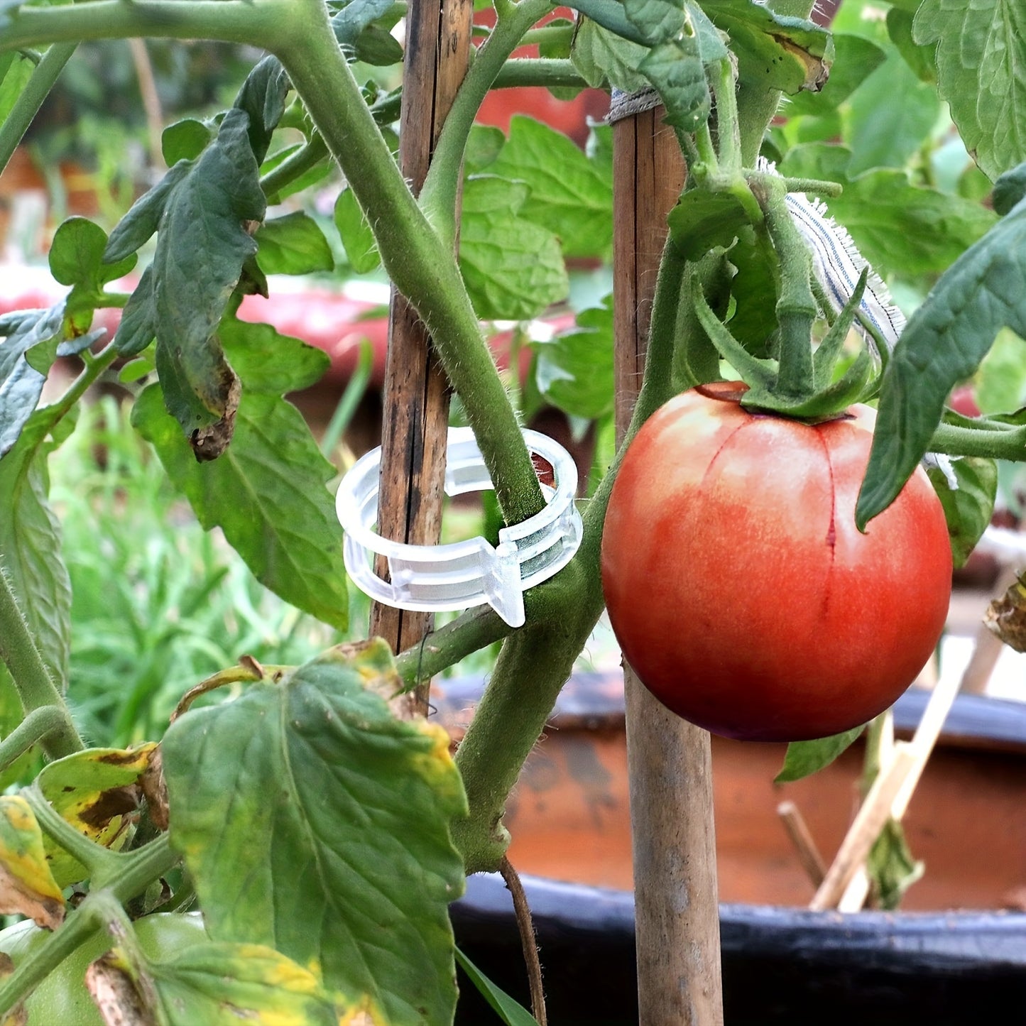Plastic Plant Clips