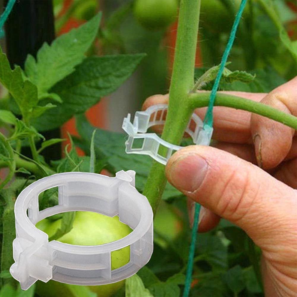 Plastic Plant Clips
