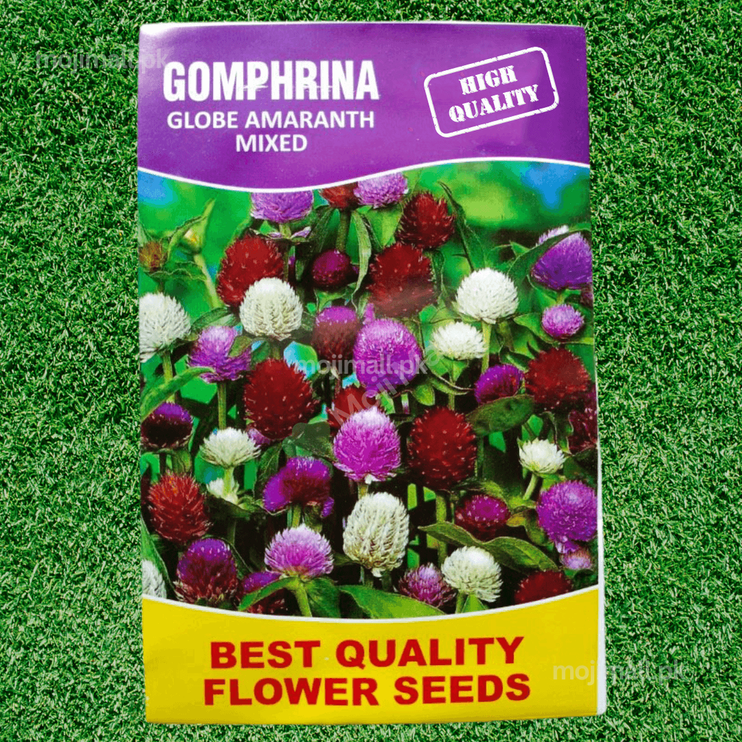 Gomphrena Globe (Amaranth Mixed) – 50+ Seeds-Moji Mall