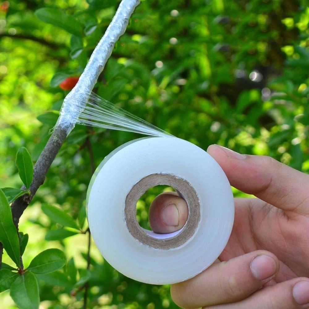 Grafting Tape 3cmx100m - White