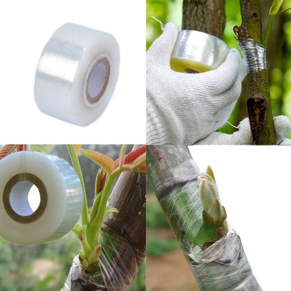 Grafting Tape 3cmx100m - White