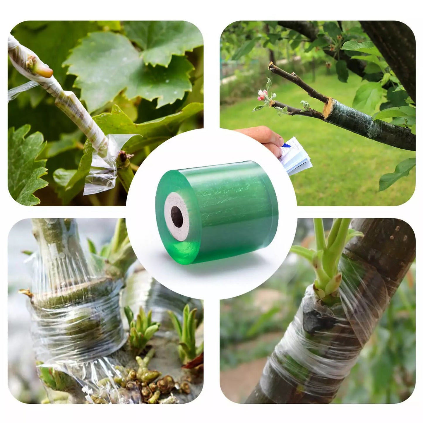 Grafting Tape – Large (5cmx100m)
