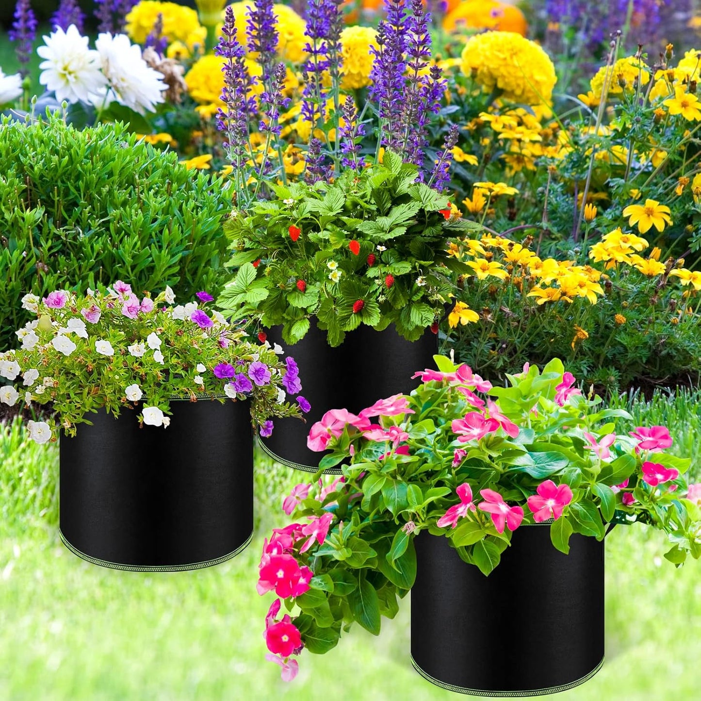 5 Gallon Grow Bag (imported)