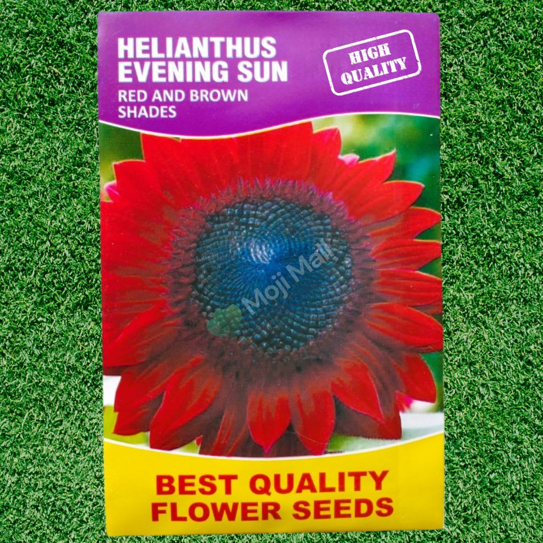 Helianthus (Red and Brown) - Seeds