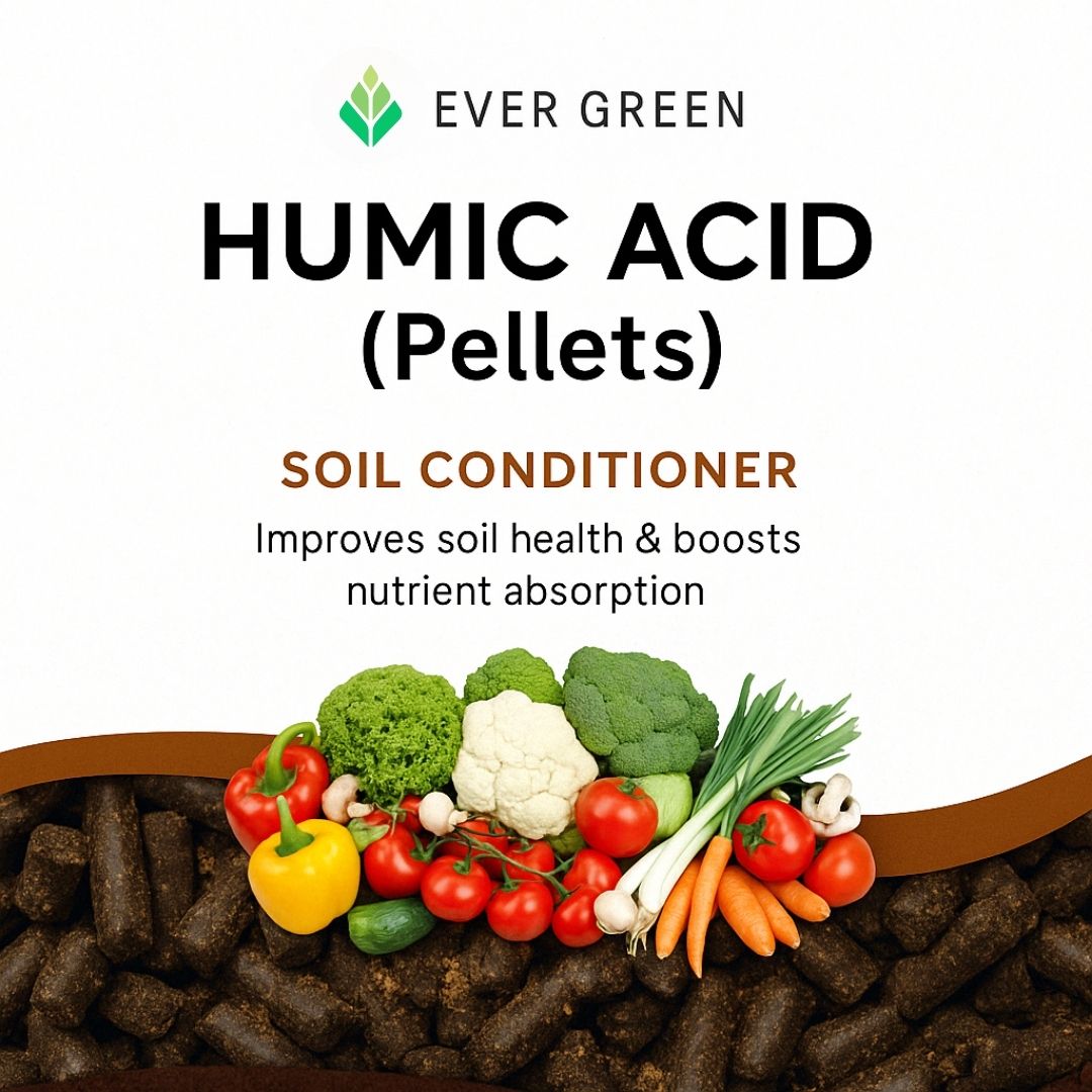 Humic acid (Pellets)